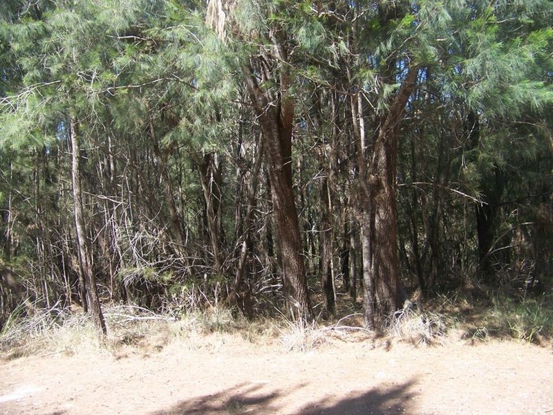 35 Aquamarine Av, Russell Island QLD 4184