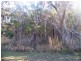 14 Orme Dve, Russell Island QLD 4184