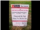 4 Pookanah St, Russell Island QLD 4184