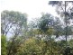 27 Patterson St, Russell Island QLD 4184