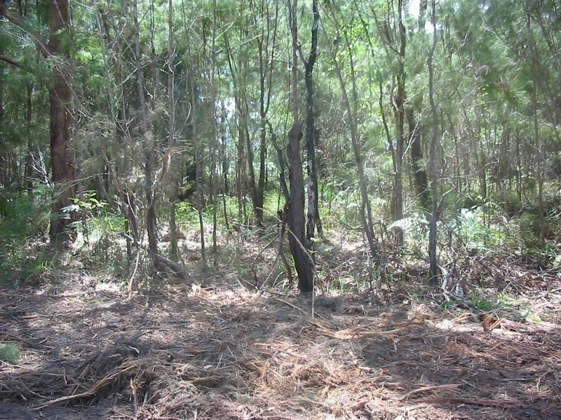 13 Beaumont Dve, Russell Island QLD 4184