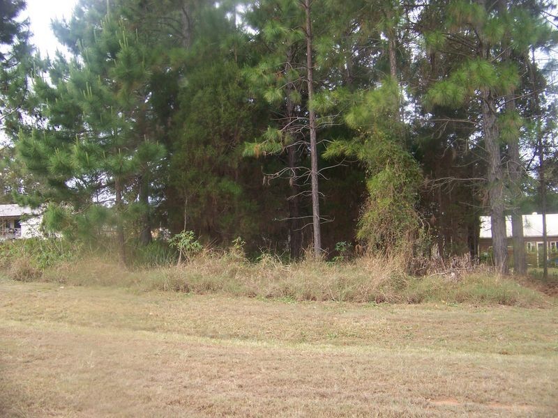 12 Tails St, Russell Island QLD 4184