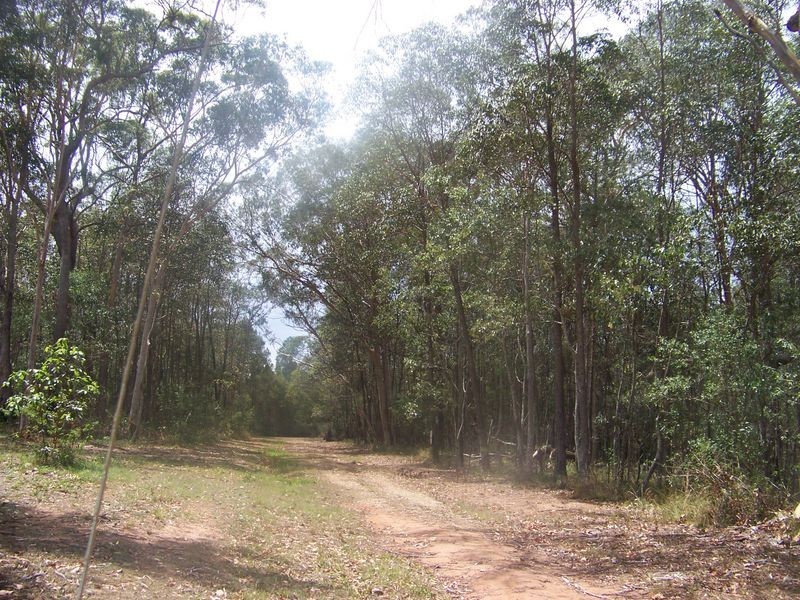 56 Burke, Russell Island QLD 4184