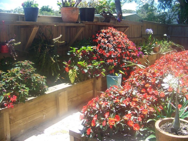 109 Channel Street, Russell Island QLD 4184