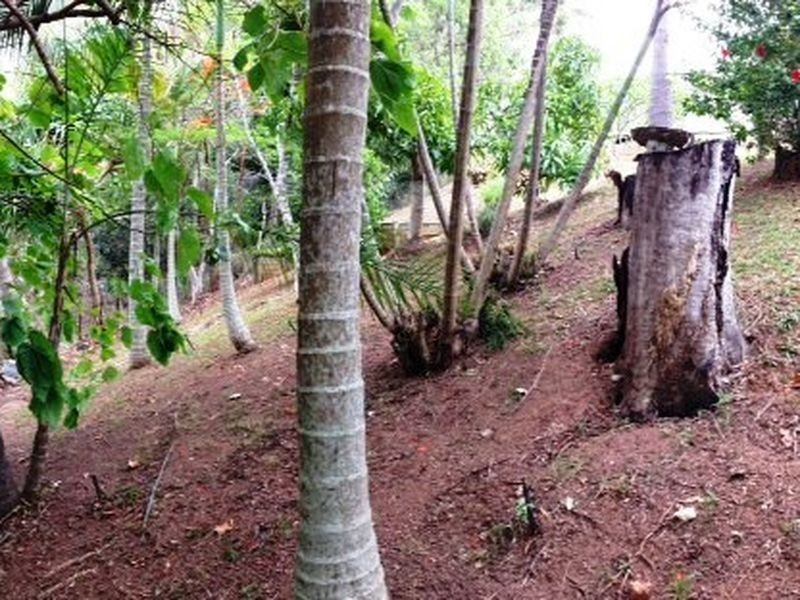 147 Canaipa Point Dve, Russell Island QLD 4184