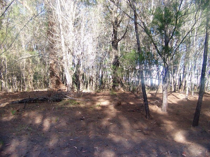 9 Vernon Way, Russell Island QLD 4184