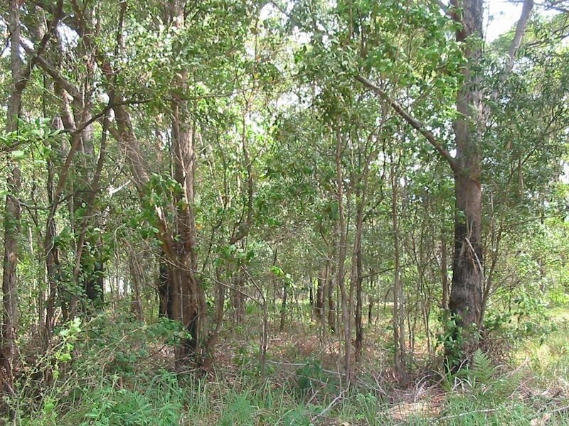 48 Taylor Street, Russell Island QLD 4184
