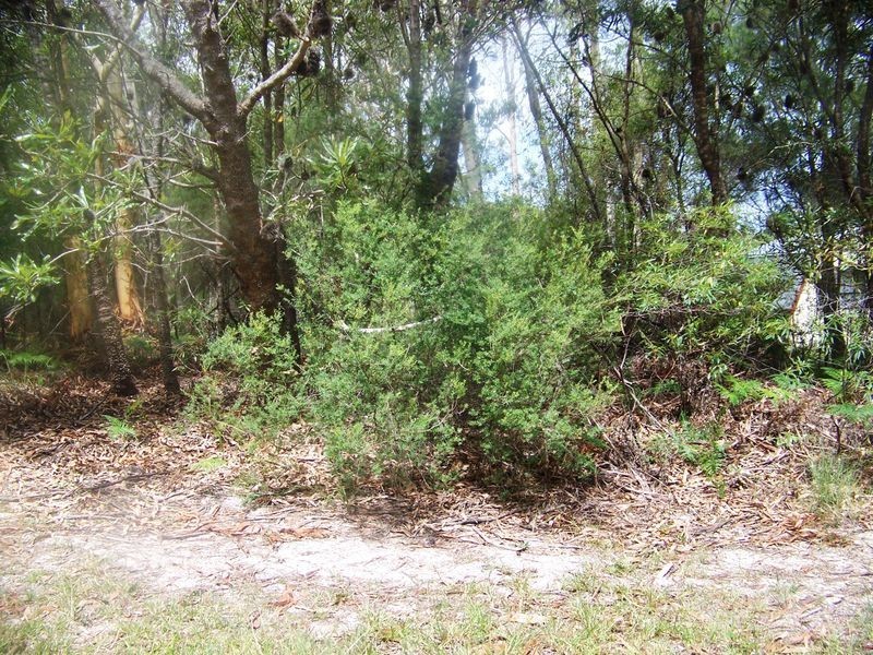 39 Cowderoy Dve, Russell Island QLD 4184