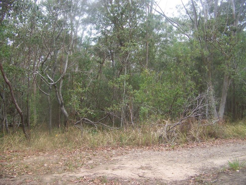 46 Woodlands CRCT, Russell Island QLD 4184