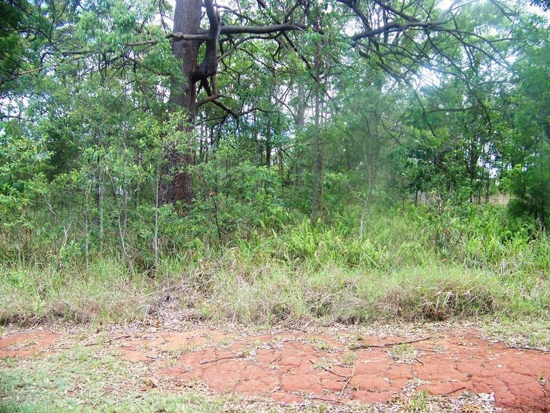 31 Fiji Street, Russell Island QLD 4184