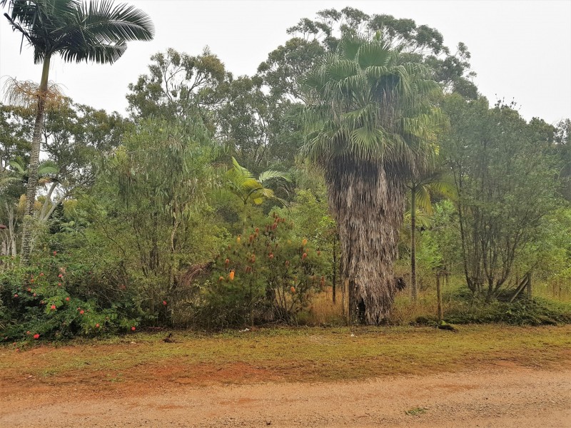 3 Manson Parade, Russell Island QLD 4184