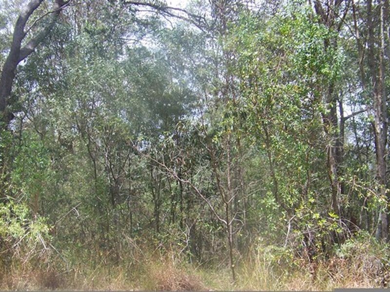 56 Burke Ave, Russell Island QLD 4184