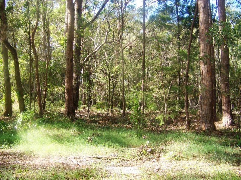 25 Pharlap, Russell Island QLD 4184