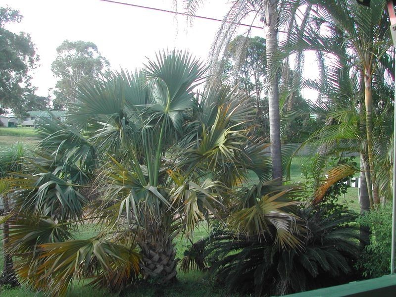 32 Oasis Street, Russell Island QLD 4184