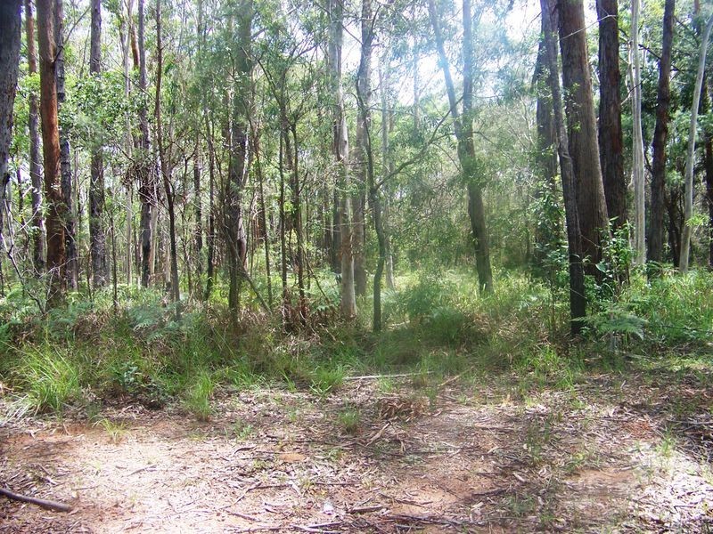 16 Bamberry St, Russell Island QLD 4184