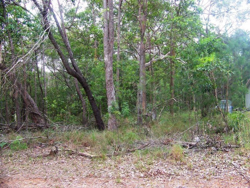 53 Waikiki Beach Rd, Russell Island QLD 4184