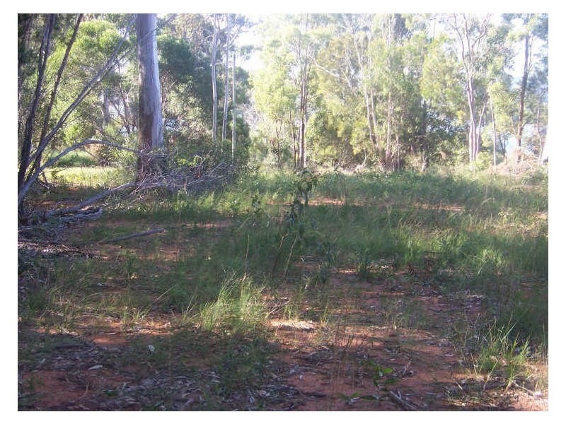 20 Opal Court, Russell Island QLD 4184