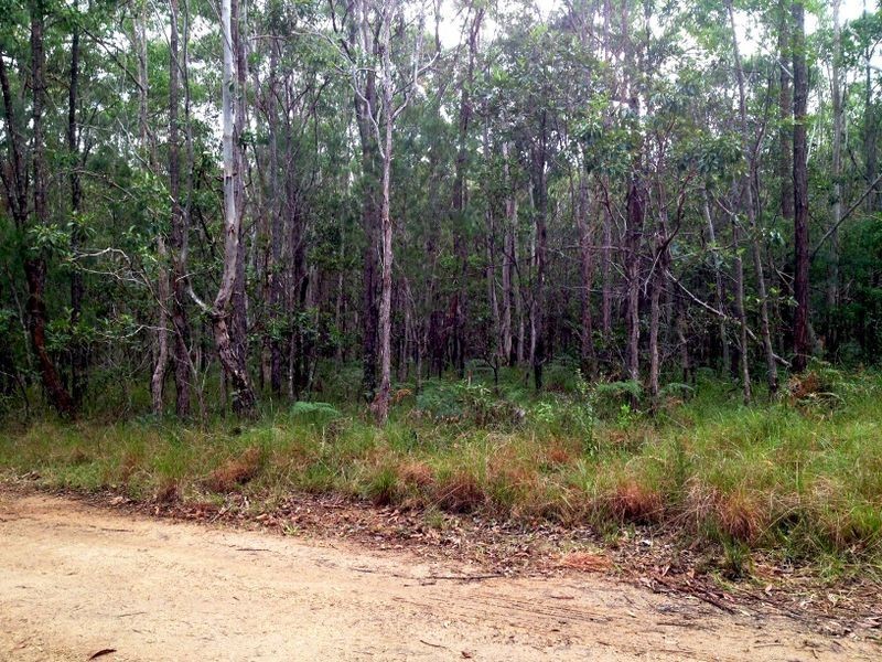 53 Duringan St, Russell Island QLD 4184