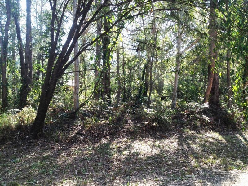 81 Harvey Street, Russell Island QLD 4184
