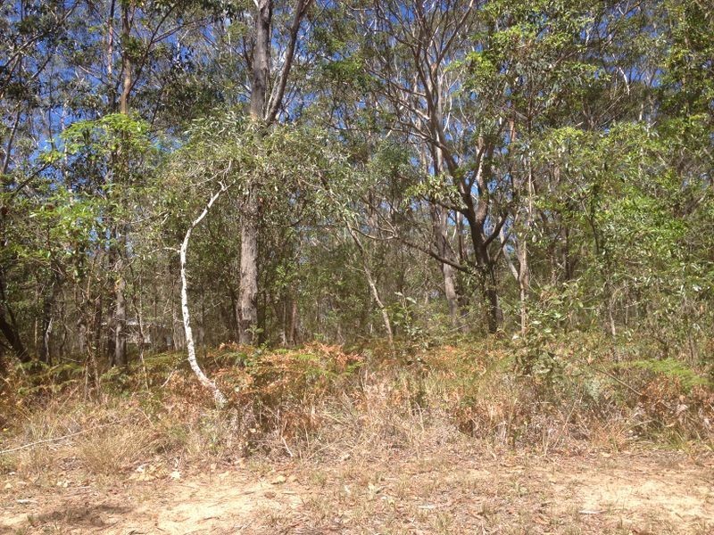 11 Monaco Street, Russell Island QLD 4184