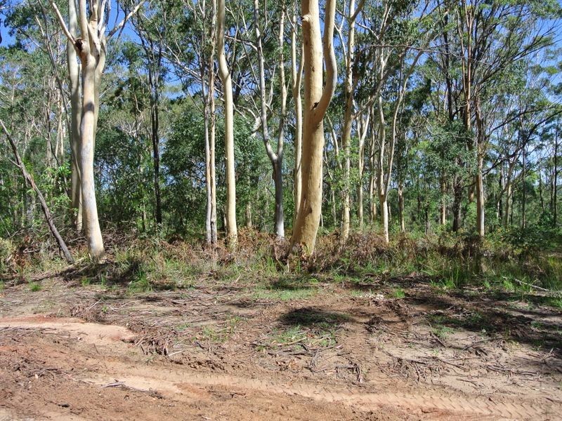 38 Belgrave Rd, Russell Island QLD 4184