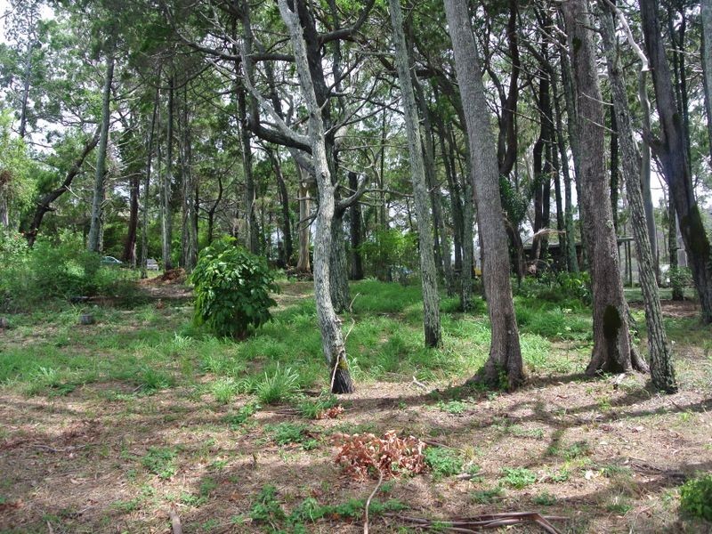 186 Canaipa Point Drive, Russell Island QLD 4184