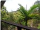 37 Patterson St, Russell Island QLD 4184