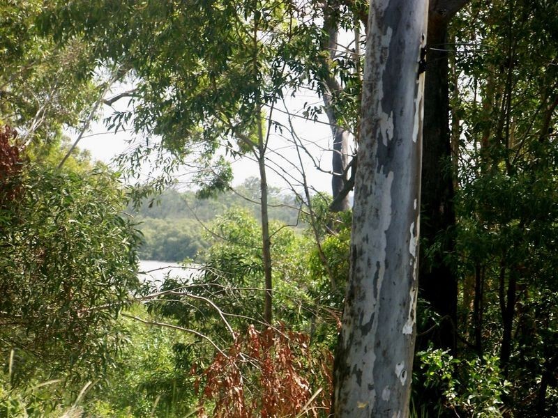 9 Camellia St, Russell Island QLD 4184