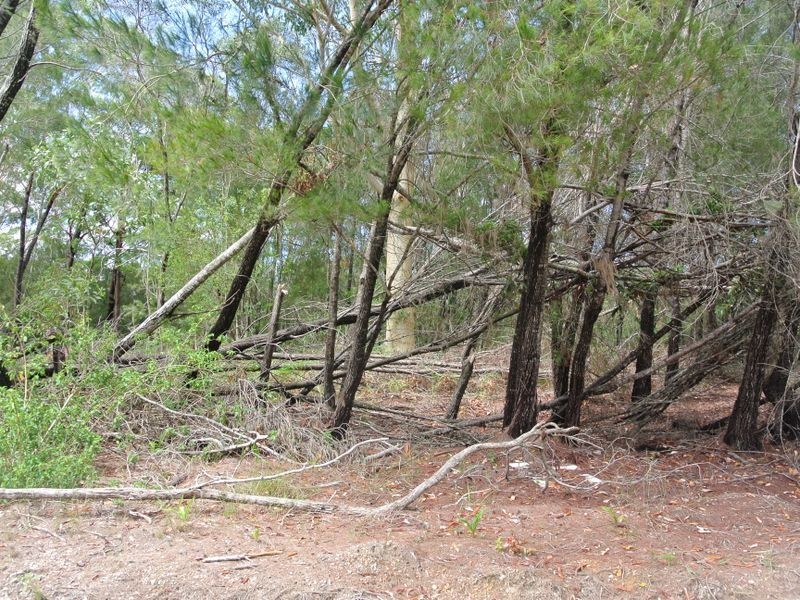 4 Sapphire Street, Russell Island QLD 4184