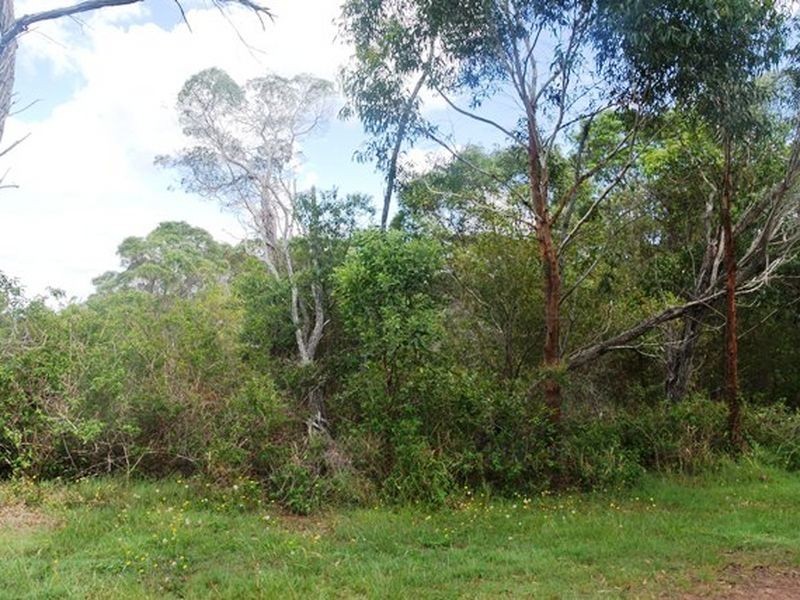 6 Petunia St, Russell Island QLD 4184