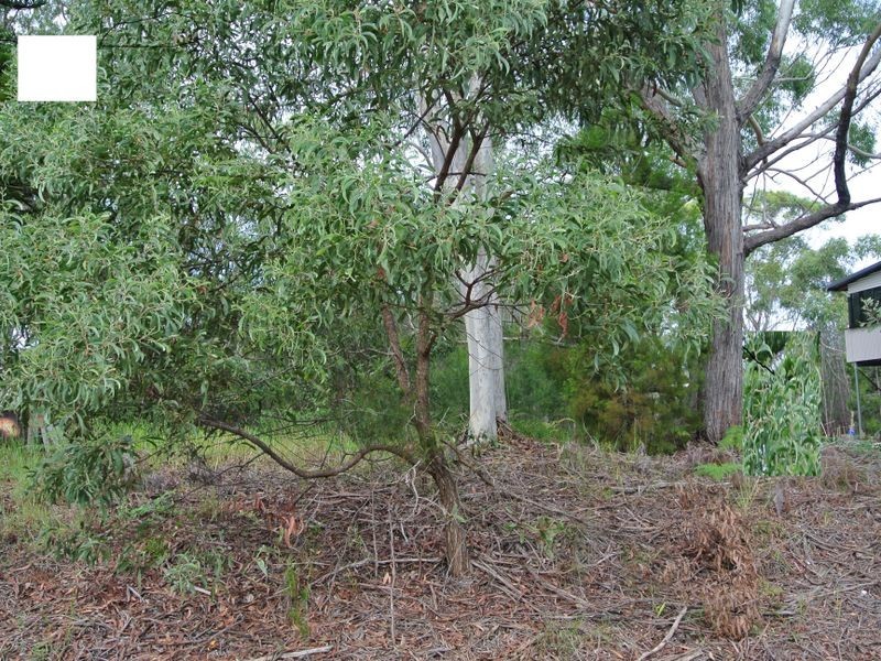 47 mainveiw dr, Russell Island QLD 4184