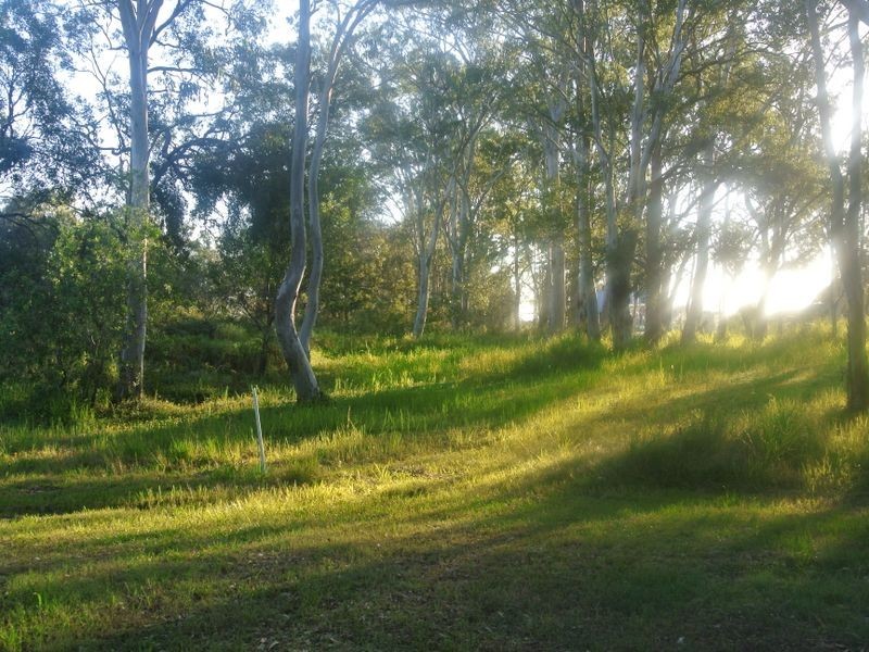 25 Karri Street, Russell Island QLD 4184