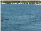 150 Palm Beach, Russell Island QLD 4184
