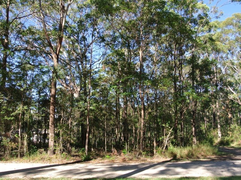 22 Angorra Street, Russell Island QLD 4184