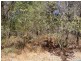 20 Tahlin Dve, Russell Island QLD 4184