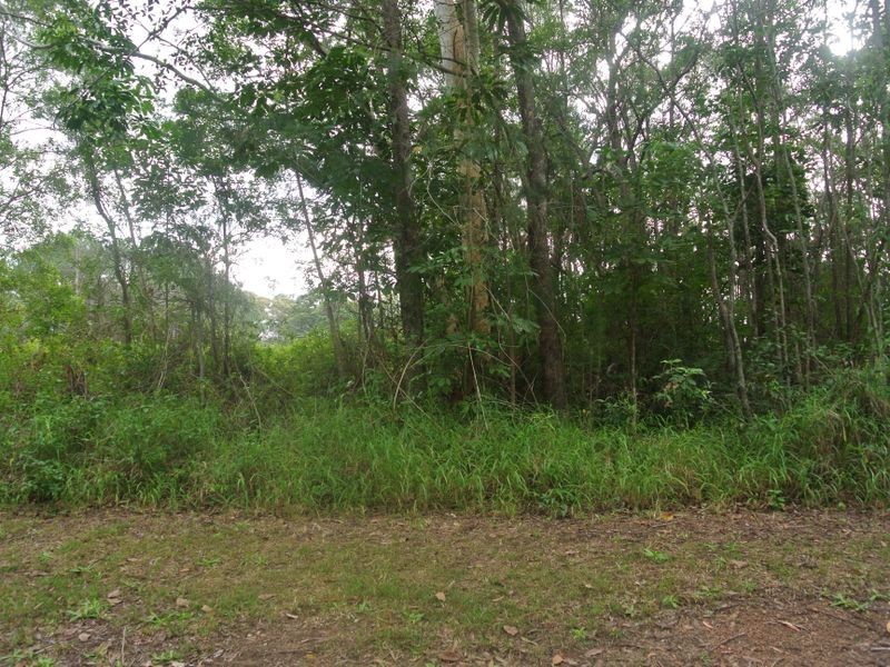 31 Taylor Street, Russell Island QLD 4184