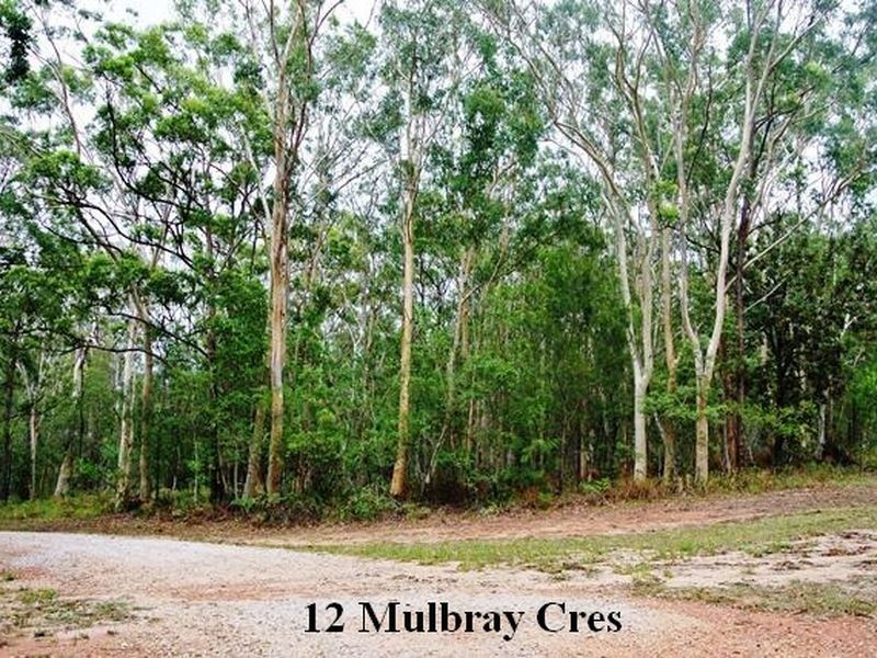 12 Mulbray Cres, Russell Island QLD 4184