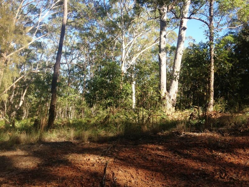 23 Darling St, Russell Island QLD 4184