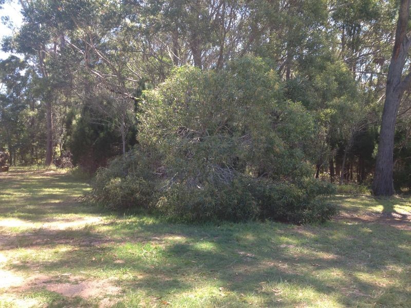 9/11 Satton Street, Russell Island QLD 4184