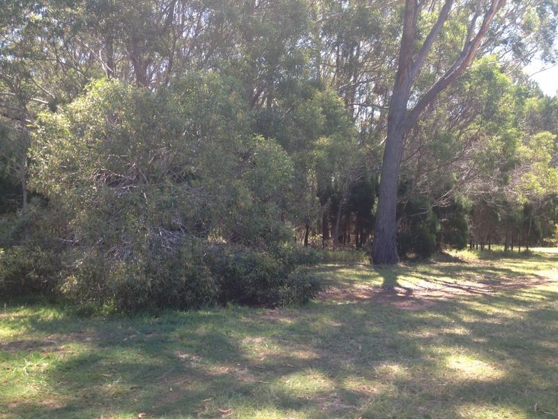 9/11 Satton Street, Russell Island QLD 4184