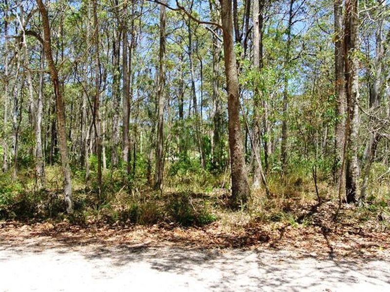 52 Cook Av, Russell Island QLD 4184