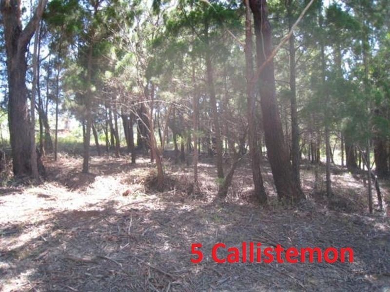 5 Callistemon, Russell Island QLD 4184