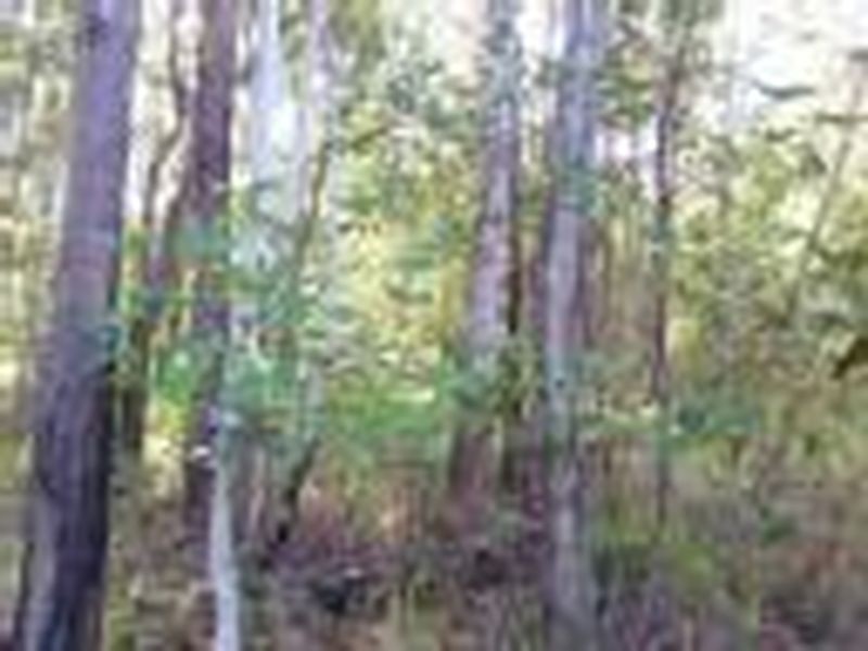 9 Eyre, Russell Island QLD 4184