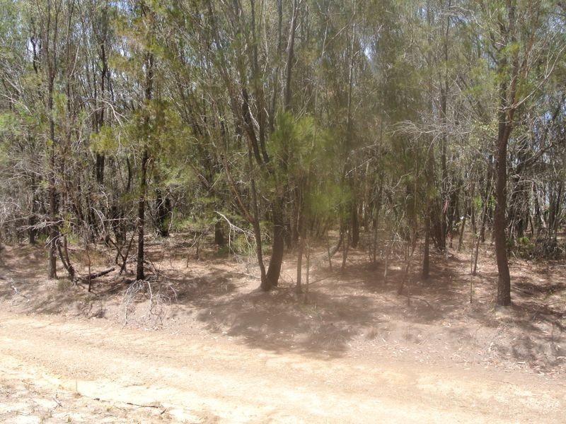 7 Vernon Way, Russell Island QLD 4184