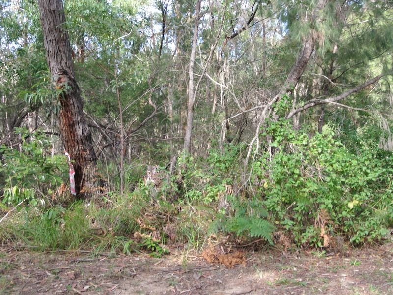 34 Zinnia Street, Russell Island QLD 4184