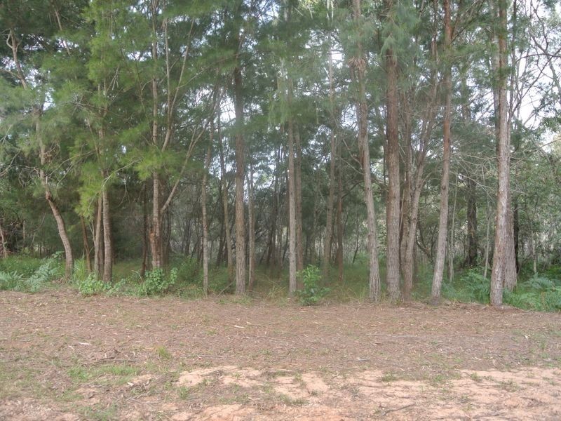 31 Catamaran St, Russell Island QLD 4184