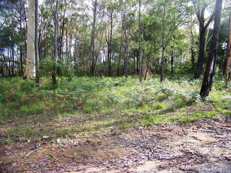 26 Diamond, Russell Island QLD 4184