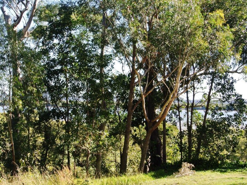 56 Deenya Pde, Russell Island QLD 4184