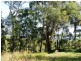 56 Deenya Pde, Russell Island QLD 4184