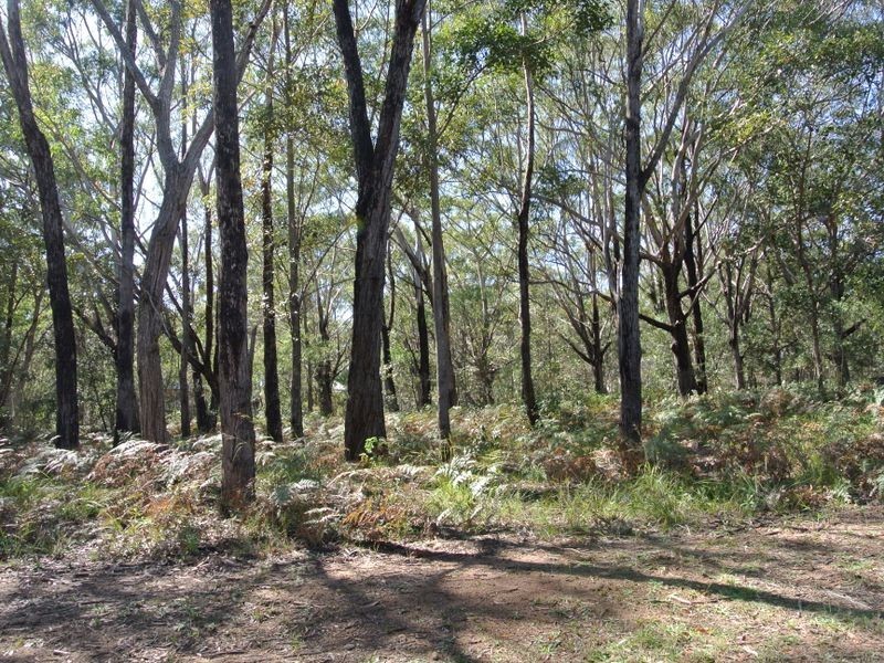 11 Monaco Ave, Russell Island QLD 4184